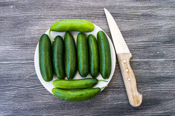 خیار سالادی بزرگ معطر باغی اصیل